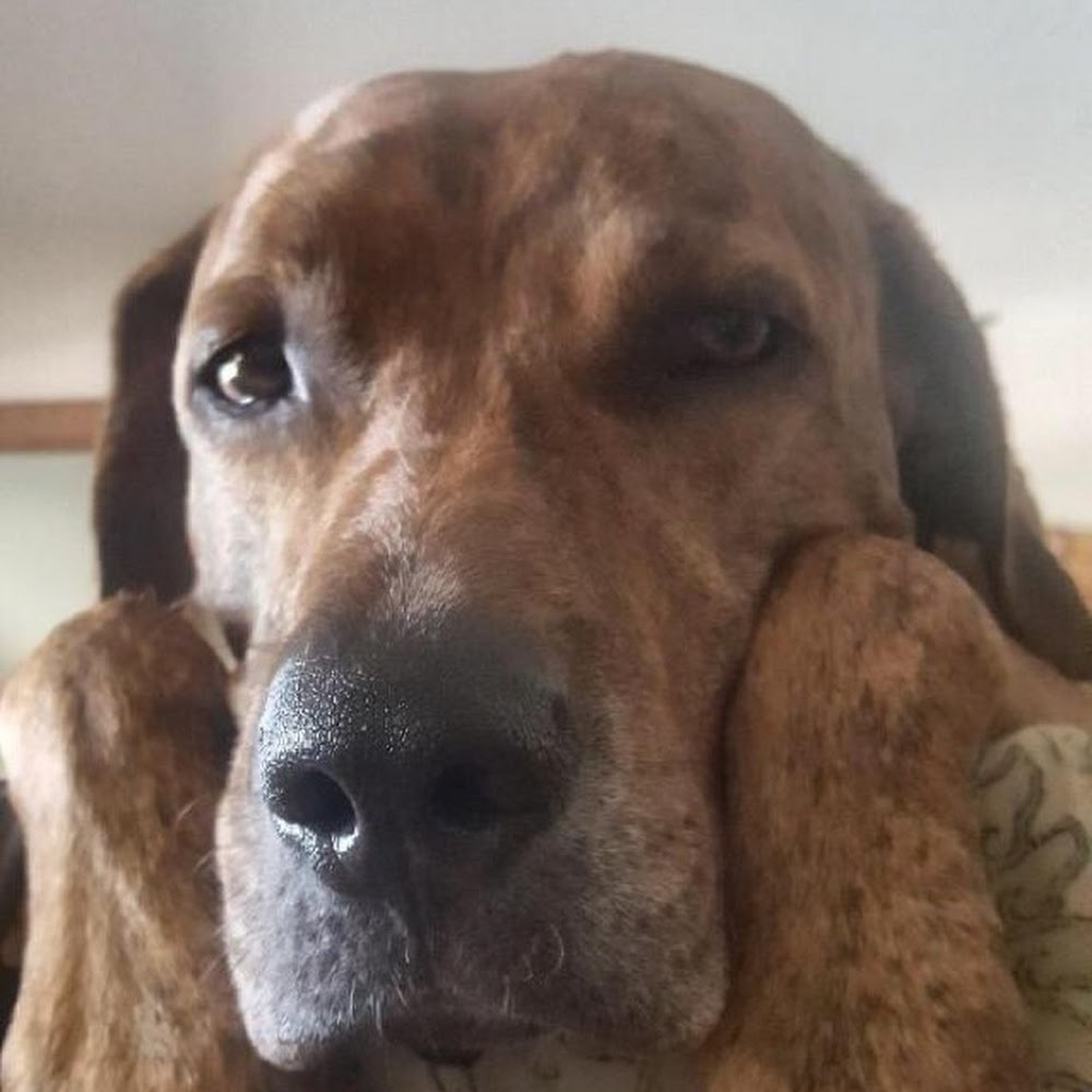 Meet your Posher, I'm